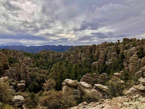 A scenic view of rocky formations and pine trees under a cloudy sky in a mountainous landscape.