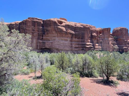 A rocky cliff rises above a green landscape under a clear blue sky, surrounded by shrubs and trees.