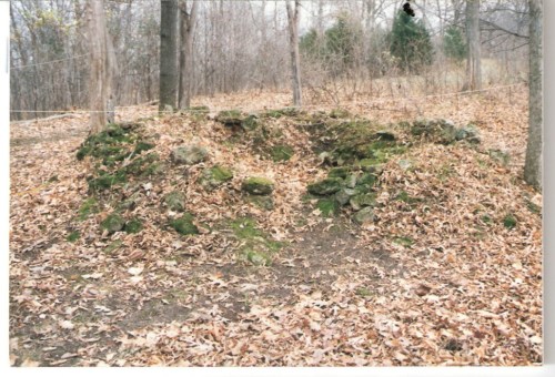 A moss-covered stone structure surrounded by dry leaves and trees in a wooded area.