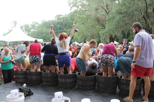 A lively crowd participates in a grape stomping event, with people in barrels and cheering onlookers in the background.
