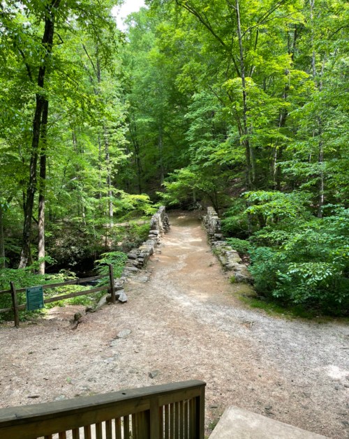 A serene forest path leads to a stone bridge, surrounded by lush green trees and a peaceful atmosphere.