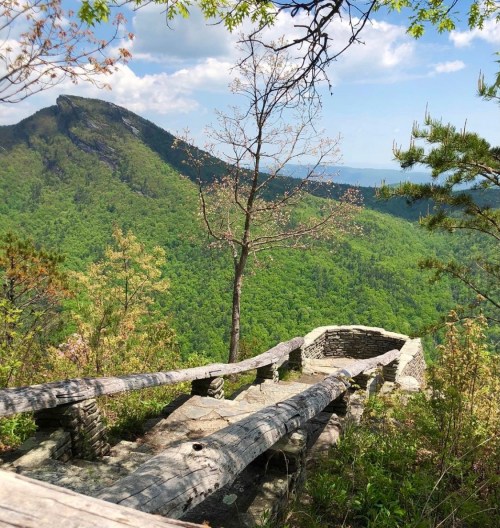 A scenic view from a mountain overlook, featuring lush green trees and a stone pathway leading to the edge.