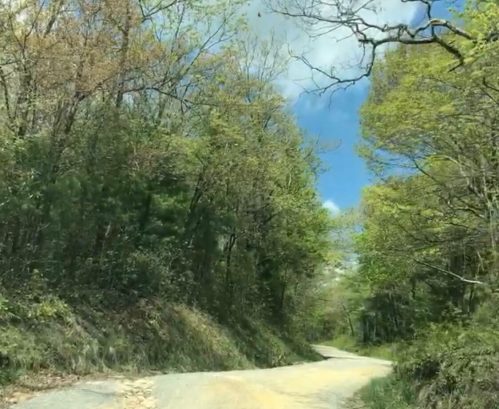 A gravel road splits into two paths, surrounded by lush green trees and a blue sky with scattered clouds.
