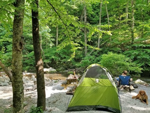 A green tent by a creek, with a person sitting in a chair and a dog nearby, surrounded by lush green trees.