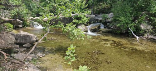 A serene river scene with clear water, rocks, and lush greenery surrounding the banks.