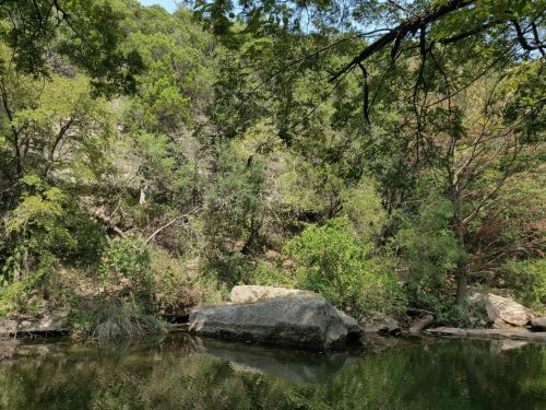 Lush greenery surrounds a calm body of water, with large rocks and trees reflecting in the serene landscape.