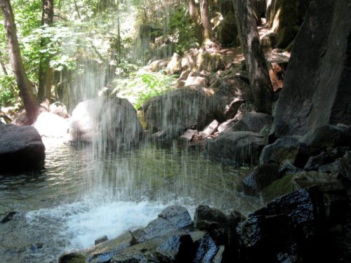 A serene waterfall cascading over rocks into a tranquil pool, surrounded by lush green trees and natural scenery.
