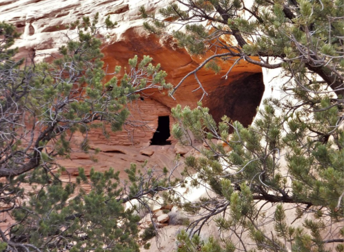 A rocky cave entrance partially obscured by green shrubs and trees.
