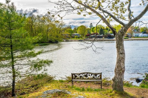 A serene lakeside scene featuring a bench under a tree, surrounded by greenery and calm water.