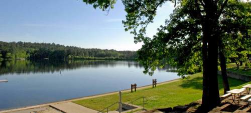 A serene lake surrounded by trees, with a grassy area and benches along the shore under a clear blue sky.