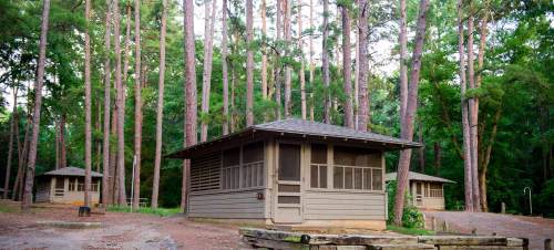 Two wooden cabins surrounded by tall trees in a lush green forest.