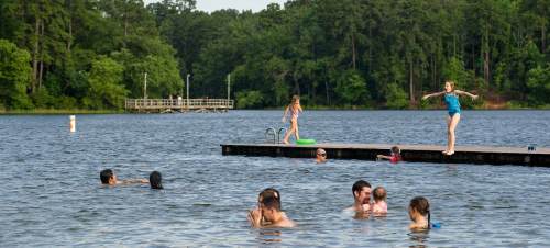 A group of people swimming and playing by a lake, with children on a dock and others in the water.
