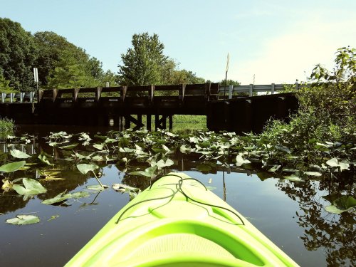 A bright green kayak on calm water, with lily pads and a wooden bridge in the background under a clear blue sky.