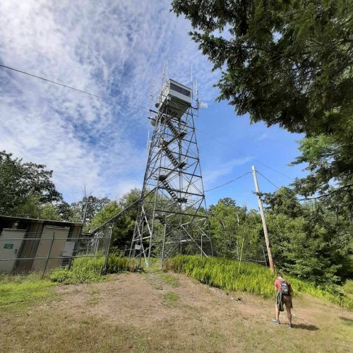 A person walks towards a tall communication tower surrounded by trees and a grassy area under a blue sky.