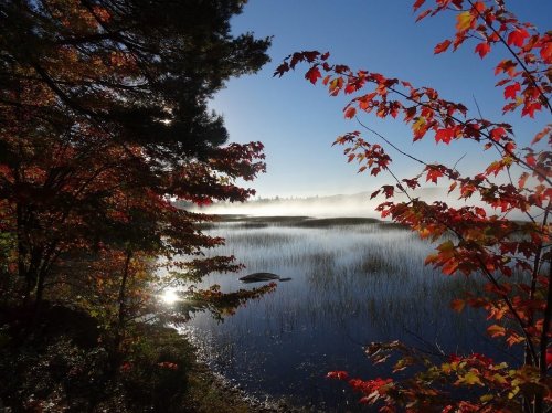 A serene lake surrounded by colorful autumn foliage and morning mist under a clear blue sky.