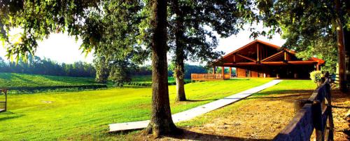 A scenic view of a rustic building beside a green lawn and vineyard, framed by trees under a clear sky.