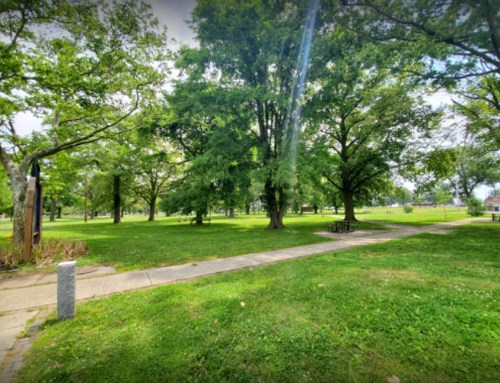 A grassy park with trees and a paved path, featuring picnic tables in the background under a clear sky.
