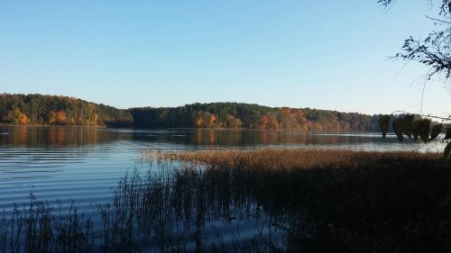 Serene lake view with calm waters, surrounded by trees displaying autumn colors under a clear blue sky.