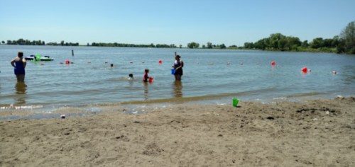 People enjoying a sunny day at the beach, swimming and playing in the water near a sandy shore.