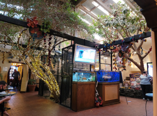 A vibrant indoor space with aquariums, trees, and decorative lights, creating a lively atmosphere.