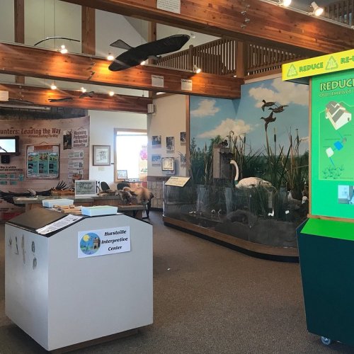 Interior of an interpretive center featuring exhibits on wildlife, a mural, and educational displays.