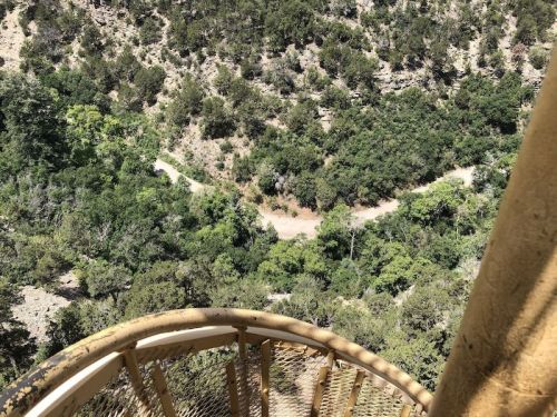 View from a spiral staircase overlooking a winding path through dense greenery and trees below.