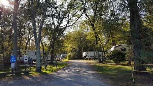 A gravel road leads through a wooded area with parked RVs on either side, surrounded by trees and greenery.