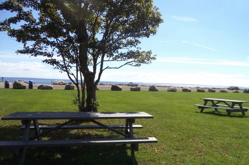 A grassy area with picnic tables under a tree, overlooking a calm lake and a clear blue sky.