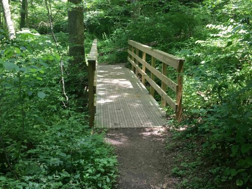 A wooden bridge spans a small path through a lush, green forest.