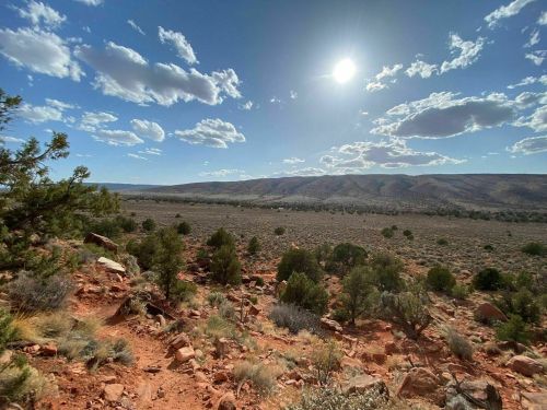 A vast desert landscape under a bright sun, with scattered shrubs and distant mountains against a blue sky with clouds.