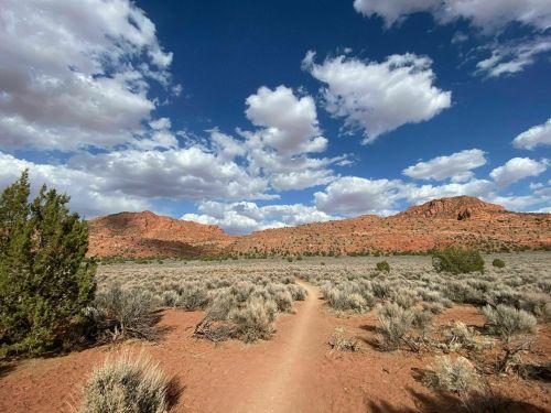 A dirt path winds through a desert landscape with red rock formations and scattered shrubs under a blue sky with clouds.