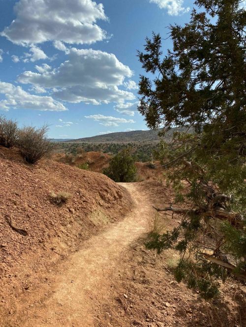 A winding dirt path through a rugged landscape with shrubs and trees under a partly cloudy sky.