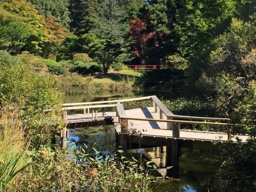 A serene garden scene featuring a wooden bridge over a calm pond, surrounded by lush greenery and colorful trees.