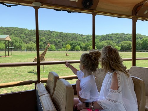 A woman and a girl point at giraffes from a safari vehicle, surrounded by green hills and clear blue skies.
