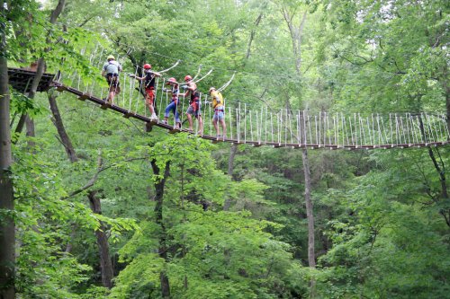 A group of people crossing a rope bridge in a lush green forest.