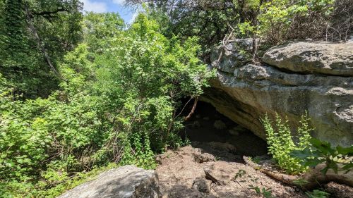 A rocky overhang surrounded by lush green foliage and trees in a natural outdoor setting.