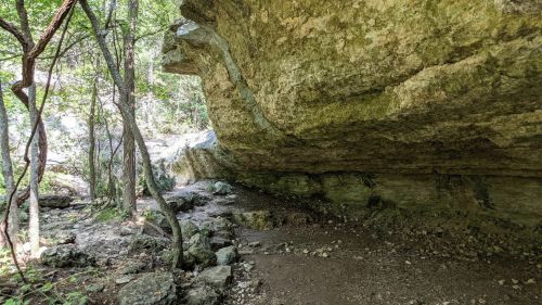 A rocky cave entrance surrounded by trees and natural vegetation in a forested area.