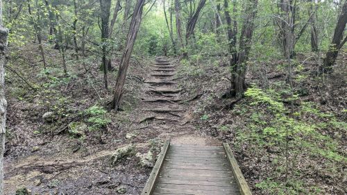 A wooden bridge leads to a steep, tree-lined trail with steps ascending through a lush, green forest.