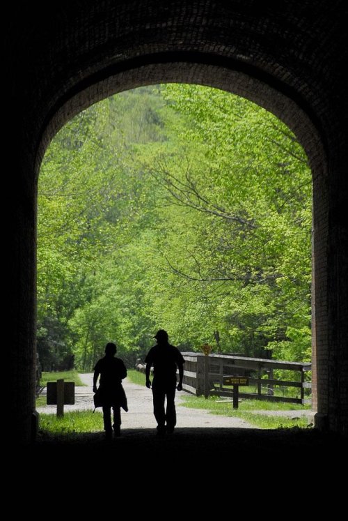 Silhouettes of two people walking through a tunnel, framed by lush green trees and a path ahead.