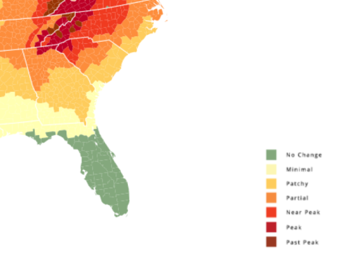 Map of the southeastern U.S. showing fall foliage status, ranging from no change to peak colors.