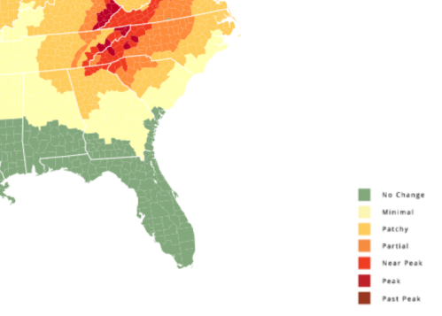 Map showing varying levels of color-coded change across regions, from no change to past peak, primarily in the southeastern U.S.