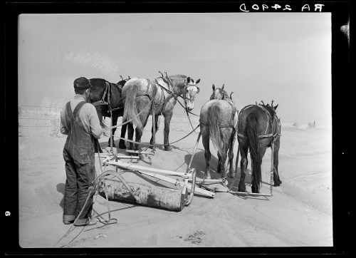 A farmer stands beside a plow pulled by horses in a sandy landscape, with dust in the air.