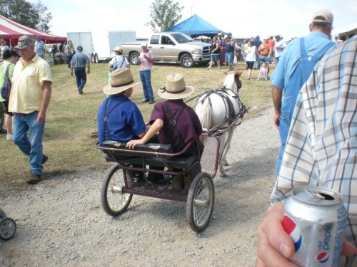 Two children in straw hats ride in a cart pulled by a pony, surrounded by a crowd at an outdoor event.