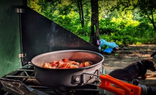 A pot of bacon cooking on a camp stove, with a dog resting in the background among trees and greenery.