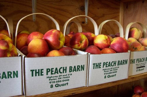 Baskets of fresh peaches stacked on a wooden shelf at The Peach Barn, labeled with pricing and contact information.