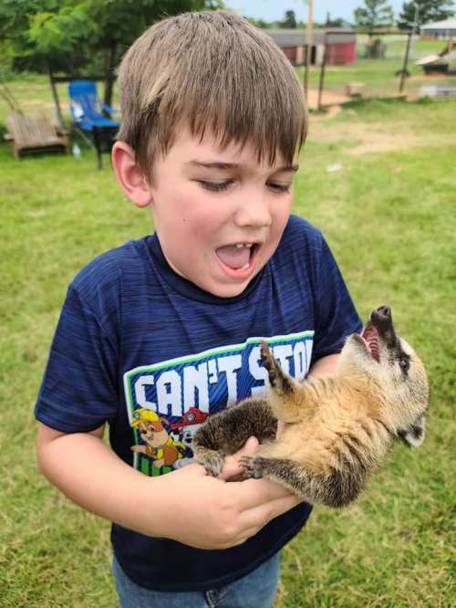 A boy joyfully holds a small raccoon, both appearing excited in a grassy outdoor setting.