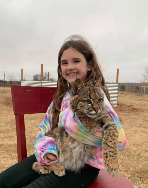 A girl in a colorful tie-dye hoodie smiles while holding a bobcat on her lap outdoors.