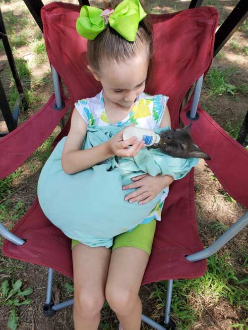 A girl in a green bow feeds a gray kitten from a bottle while sitting in a red chair outdoors.
