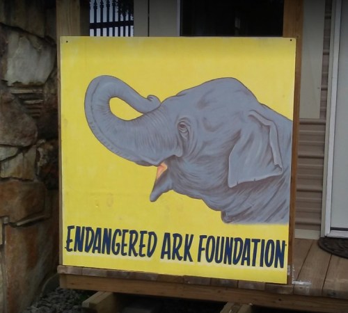 Sign for the Endangered Ark Foundation featuring a colorful illustration of an elephant.