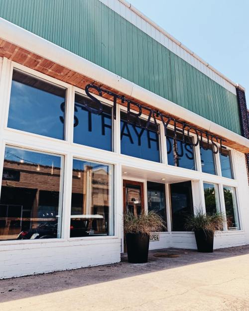 Exterior of a building with large windows and a sign reading "Strayhouse," featuring potted plants at the entrance.